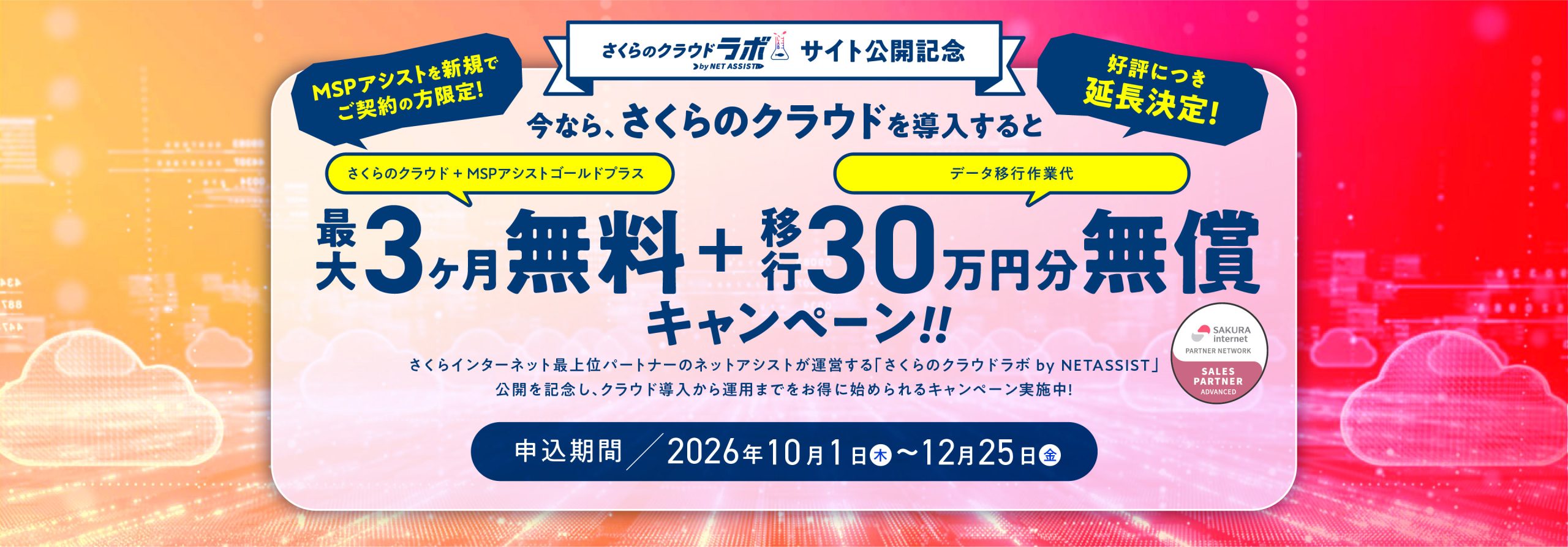 キャンペーン情報
